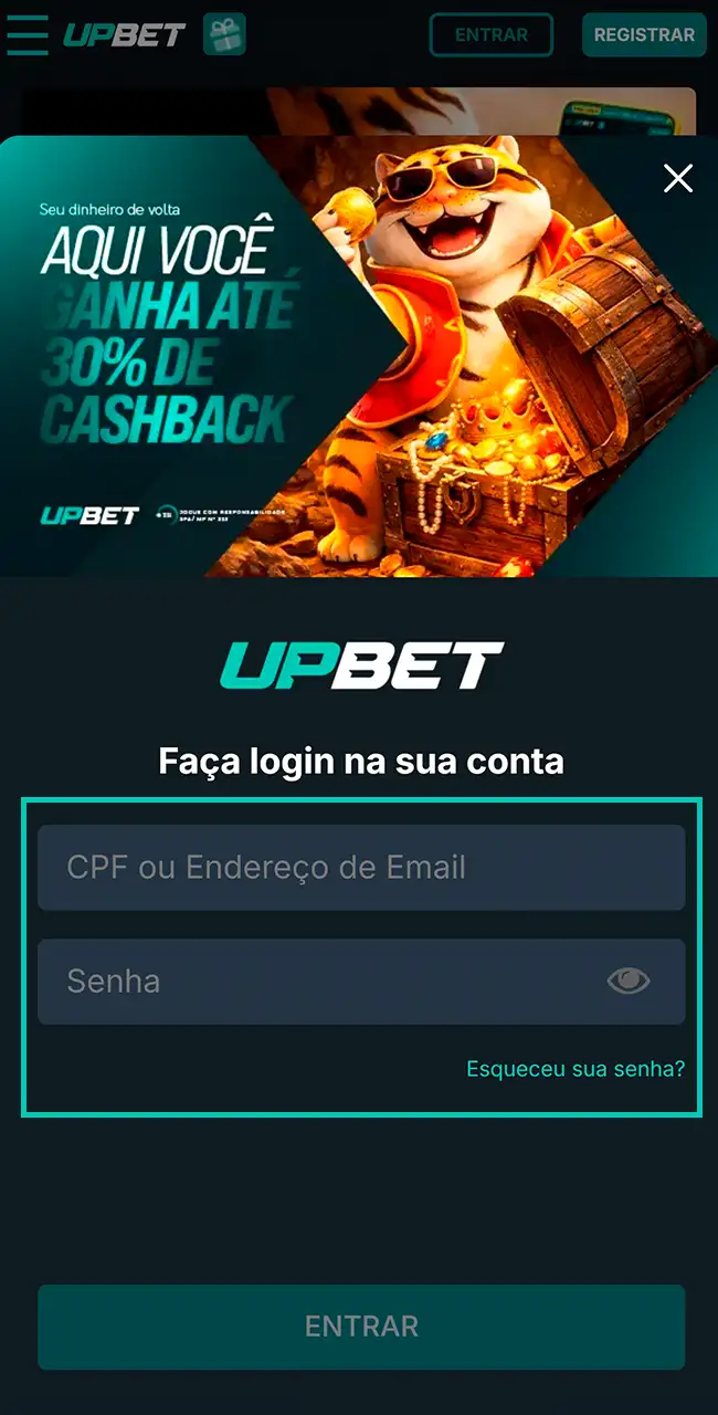 Acesse ou crie seu perfil na Upbet.